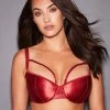 Fredericks Of Hollywood Full Figure Bras 32D-42F Nicola Bree Satin Full Figure Bra