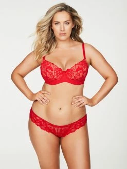 Fredericks Of Hollywood Manuela Lace Full Figure Bra Full Figure Bras 32D-42F