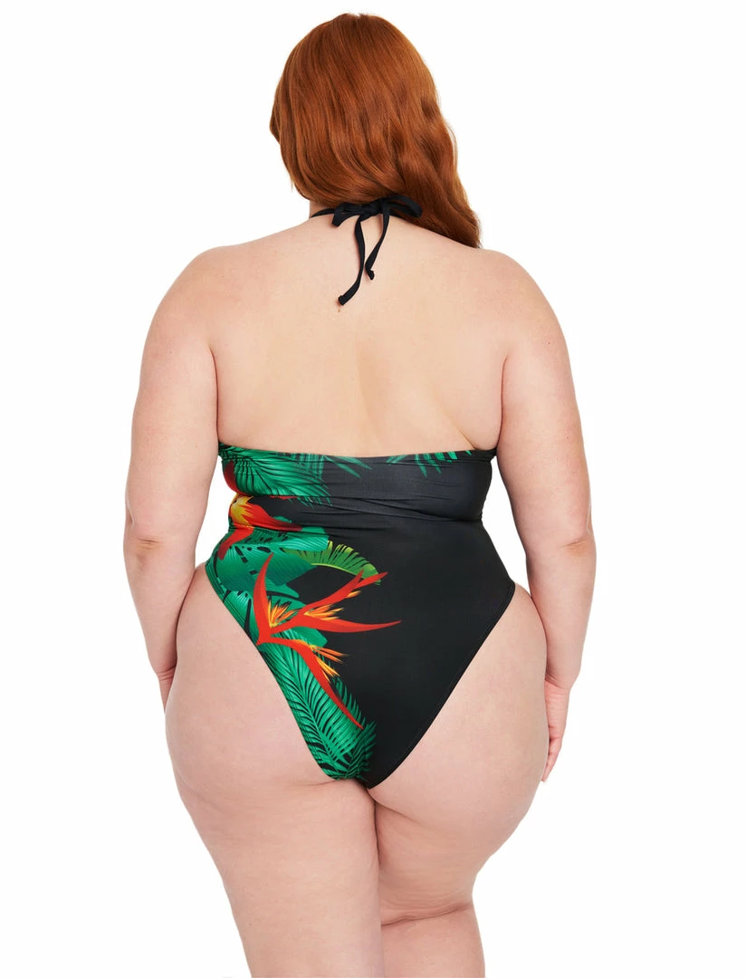 Fredericks Of Hollywood Cabarita One-Piece Swimsuit 2 Fredericks Of Hollywood Cabarita One-Piece Swimsuit