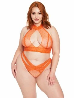 Fredericks Of Hollywood Bras Alexia Love Mesh Bra And Panty Set