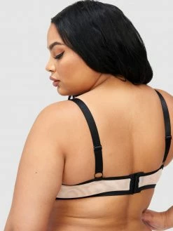 Fredericks Of Hollywood Bras Meghan Underwire Bra